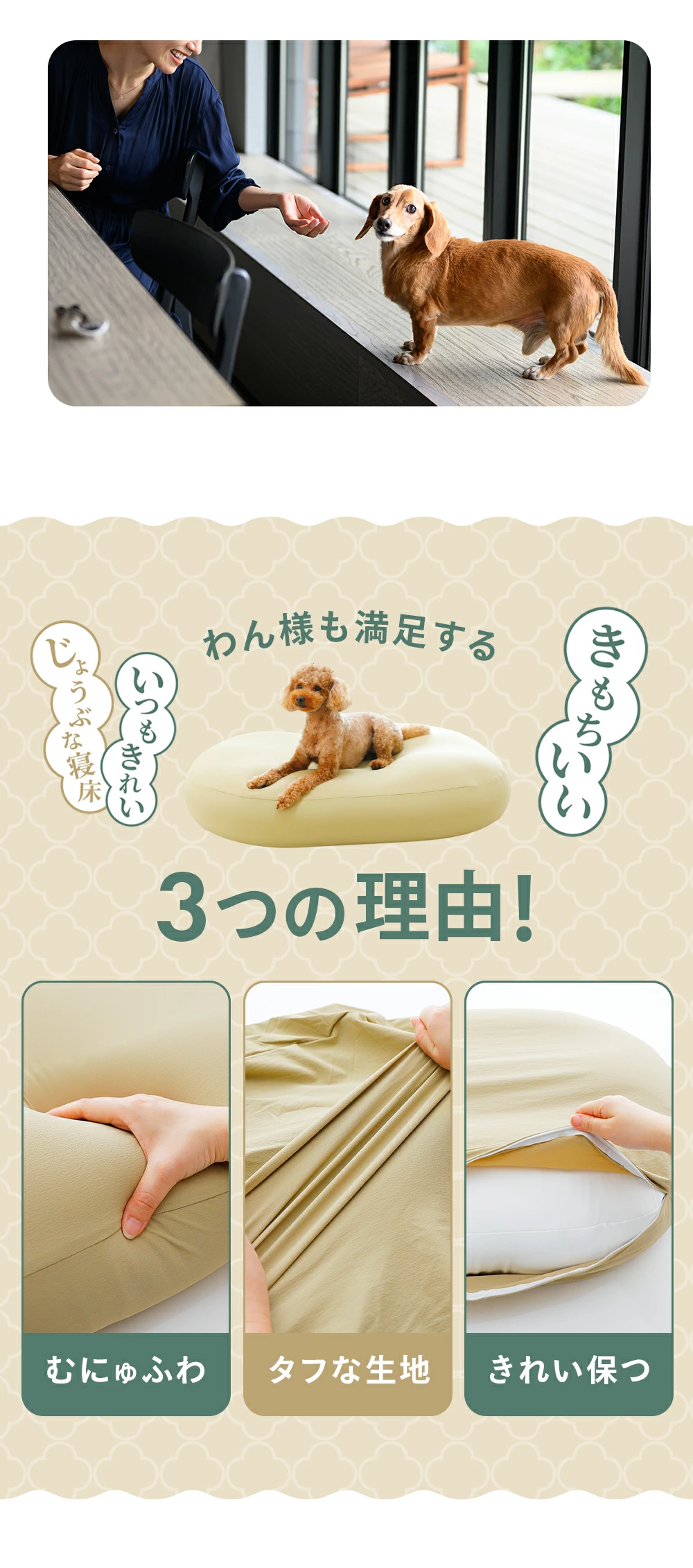 わん様も満足する３つの理由