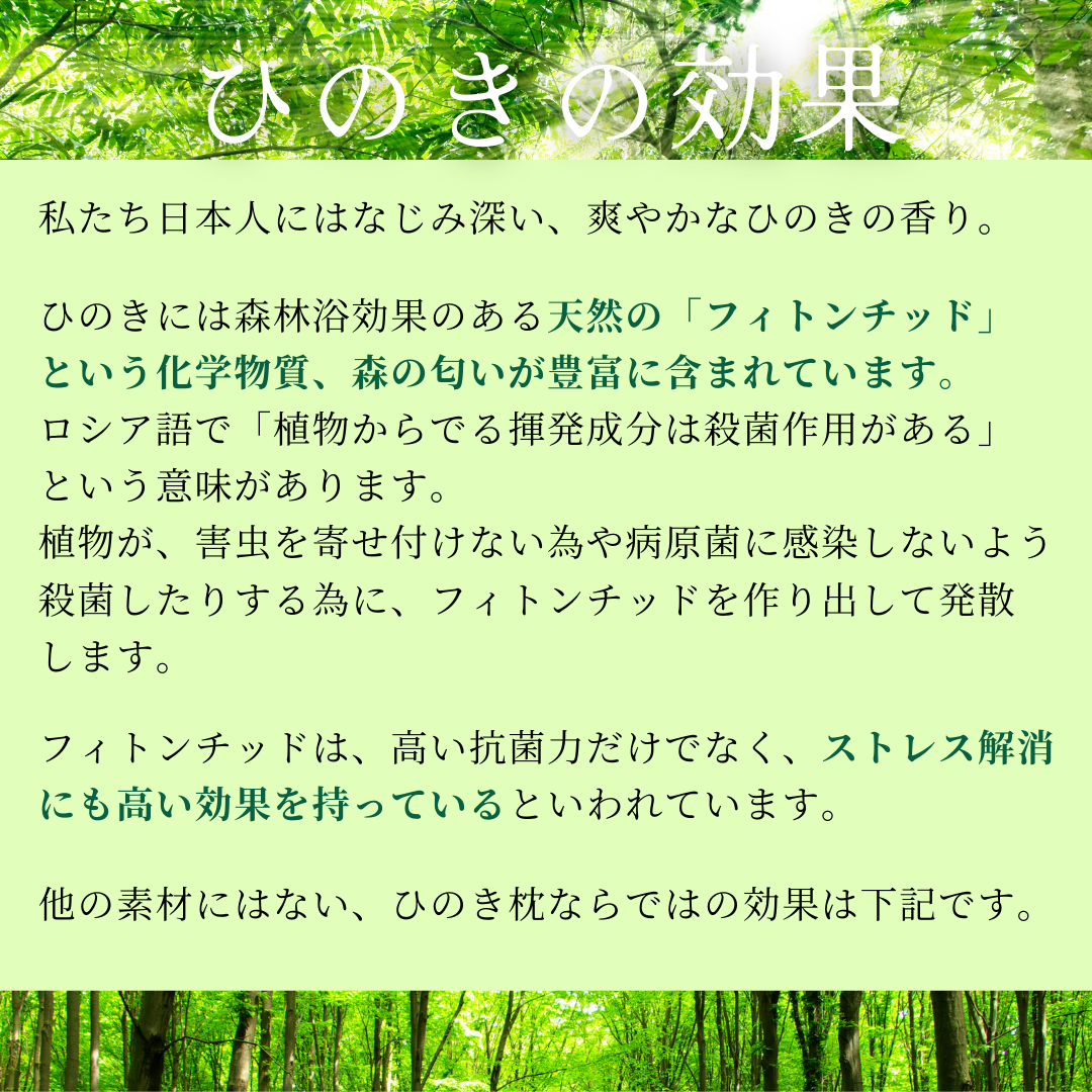 王様のヒノキ枕